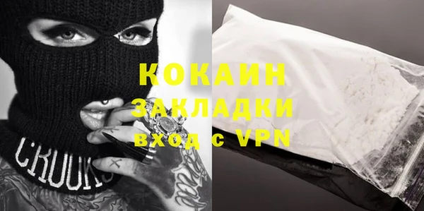 гашик Касимов