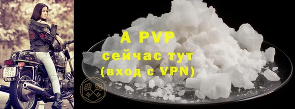 стафф Карпинск