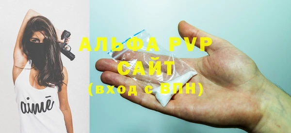 стафф Карпинск