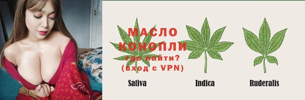 гашик Касимов