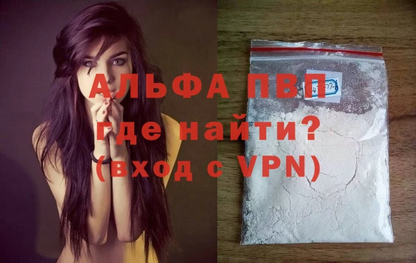 гашик Касимов
