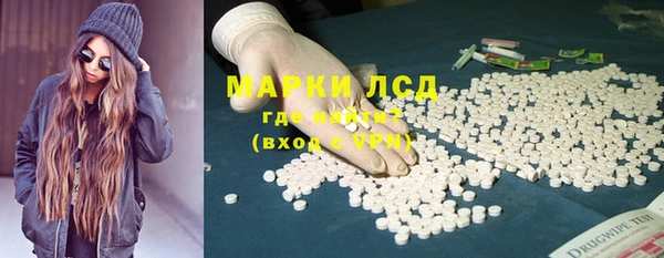 стафф Карпинск
