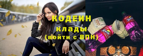 гашик Касимов